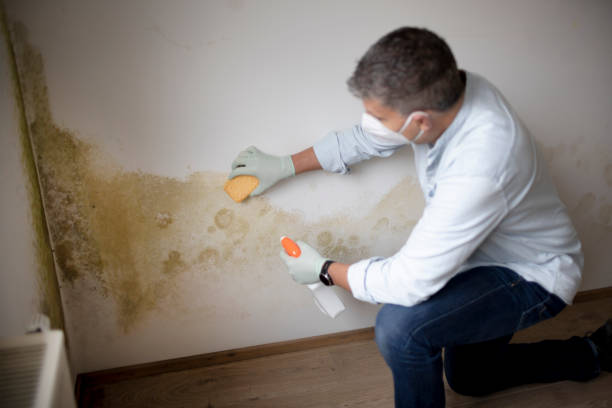 Mold Remediation for Rental Properties in Mauldin, SC